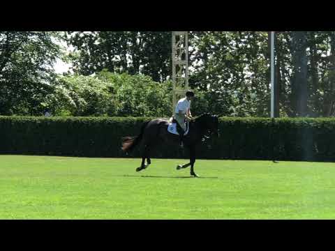 Diarado’s Rose ELiTH 1.20m Munka-Ljungby, 2018.06.01