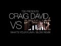 Craig David - What's Your Flava/Beyonce Blow Remix