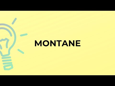 What is the meaning of the word MONTANE?