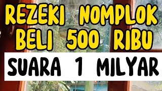 Download lagu PERKUTUT BANGKOK BELI 500 RIBU,Suara Kaya Harga 1 Milyar mp3