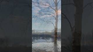 Download lagu ♫   'Albatrosz (Chopin:  Noktürn)'-   Szentpéteri Csilla mp3