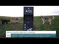 Mejora de las áreas de esparcimiento canino de Santander