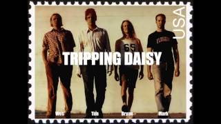 Tripping Daisy - Lost And Found