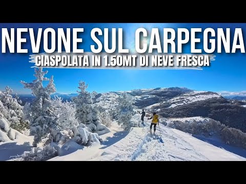 Snow returns to Monte Carpegna - Snowshoeing from Villagrande to Monte Carpegna [4k]