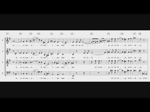 Bruckner Virga Jesse Einstudierung Sopran