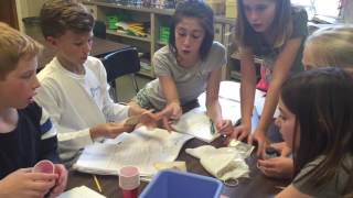 Water SCIENCE - Water Filtration Activity