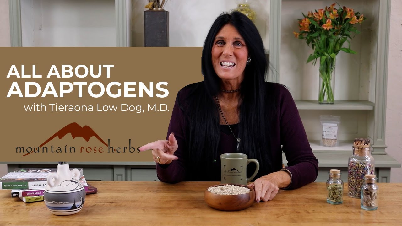 All About Adaptogens with Dr. Tieraona Low Dog - YouTube