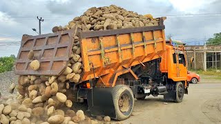 Download lagu MOBIL TRUK BESAR JOMPLANG MUATAN BATU KALI FULL BAK 🔥 mp3