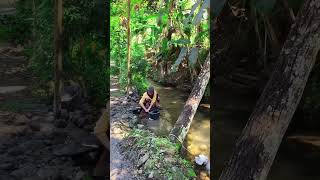 Download lagu gadis cuci baju di sungai #trendingshorts #alam #vibes #nostalgia #nature #desa #kampung #90an mp3
