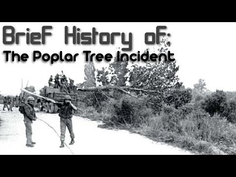 A Brief History of: The Poplar Tree Incident