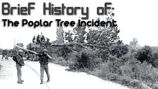 A Brief History of: The Poplar Tree Incident