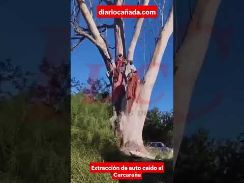 vecinos🚨 CARCARAÑÁ | UN AUTO CAYÓ AL RÍO Y FUE RESCATADO GRACIAS A LA SOLIDARIDAD DE LOS VECINOS