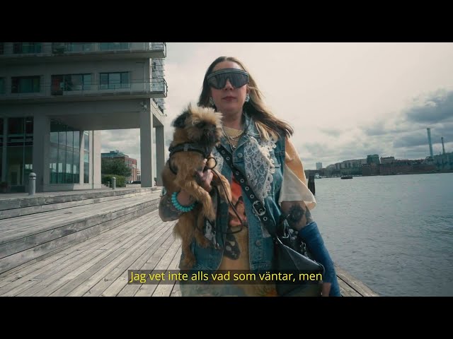 Video förhandsgranskning