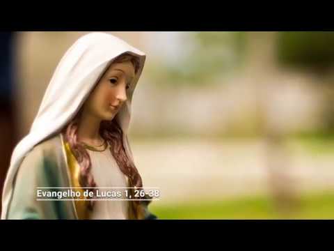 O Evangelho do dia com Dom Mário Spaki 07-10-2019