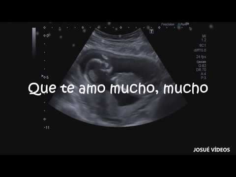 15 Días - La Banda de Lechuga  (Lyrics / Letra)