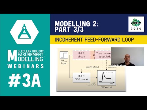 Week #3A: Modelling Part 3/3 - Example: Incoherent Feed-Forward Loop - iGEM 2020 Measurement Webinar