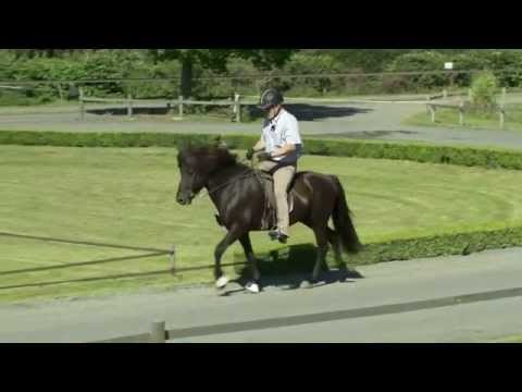 Snorri von Aegidienberg