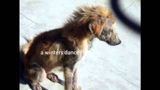 Winter Dance - ( music The Big Sleep by Bat For Lashes)