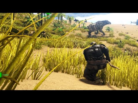 ARK SURVIVAL EVOLVED :  How to tame a PELAGORNIS