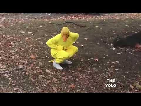 download lagu mp3 mp4 Oso Y Pato, download lagu Oso Y Pato gratis, unduh video klip Oso Y Pato