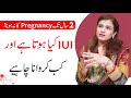 IUI Treatment For Pregnancy In Pakistan India Dr Maryam Raana Gynaecologist