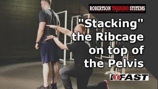 将肋骨“堆叠”在骨盆之上