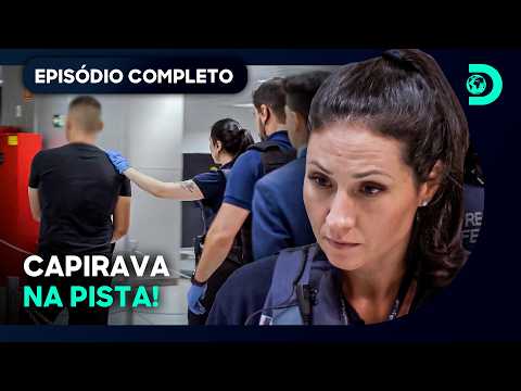 Passageiro muda de postura quando os agentes encontram algo incomum | Aeroporto: Área Restrita