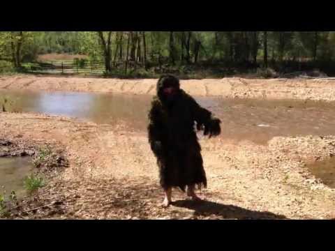 Mystery Sighting Part II: Sasquatch II: INTO THE WOODS