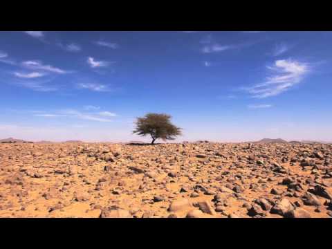 FER y JULIO - VOLATIL