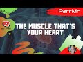 The Muscle That's Your Heart Song 