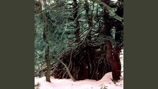 horror forest Music Video