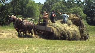 preview picture of video 'Horse-Powered Farming: Hay Loader I'