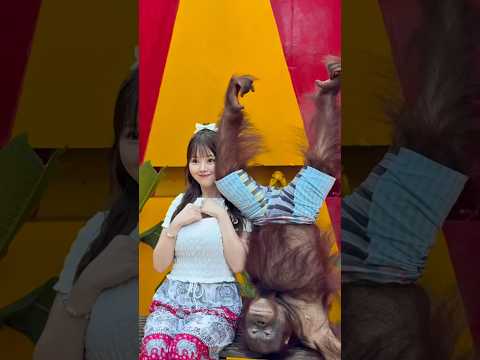 タイのオラウータン様おもろすぎるww #おすすめ #thailand #サファリワールド