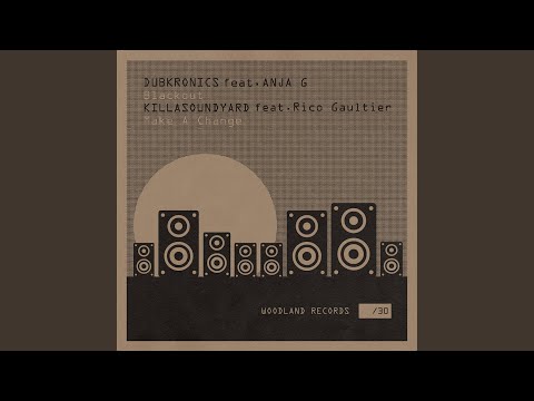 Make A Change (feat. Rico Gaultier)