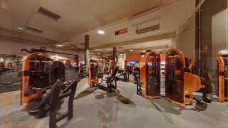 Miniature de la vidéo