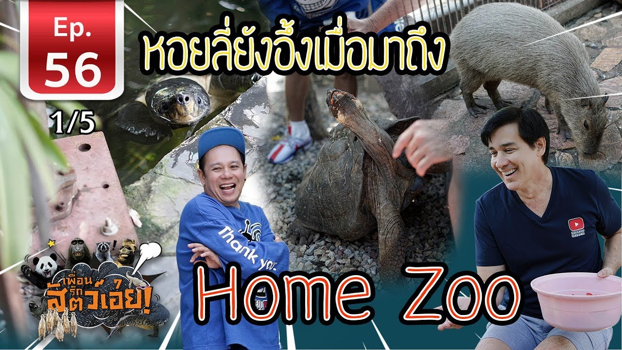 คนรักสัตว์ต้องดู Home Zoo คือโคตรมันส์ - เพื่อนรักสัตว์เอ้ย EP 56 [1/5]