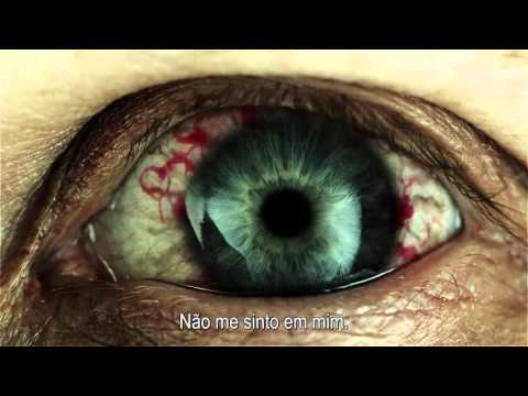 A Maldição de Michael King