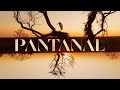 Pantanal A Abertura Da Nova Novela Das 21h TV Globo