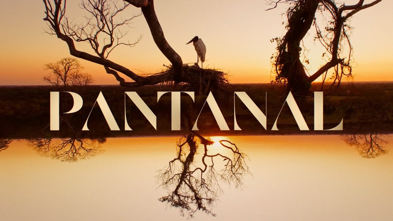 Pantanal: a abertura da nova novela