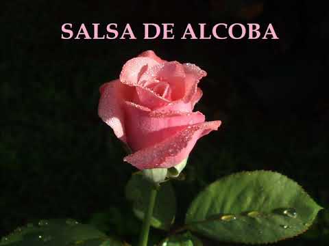 SALSA DE ALCOBA  ROMANTICA (GRANDES EXITOS)2020