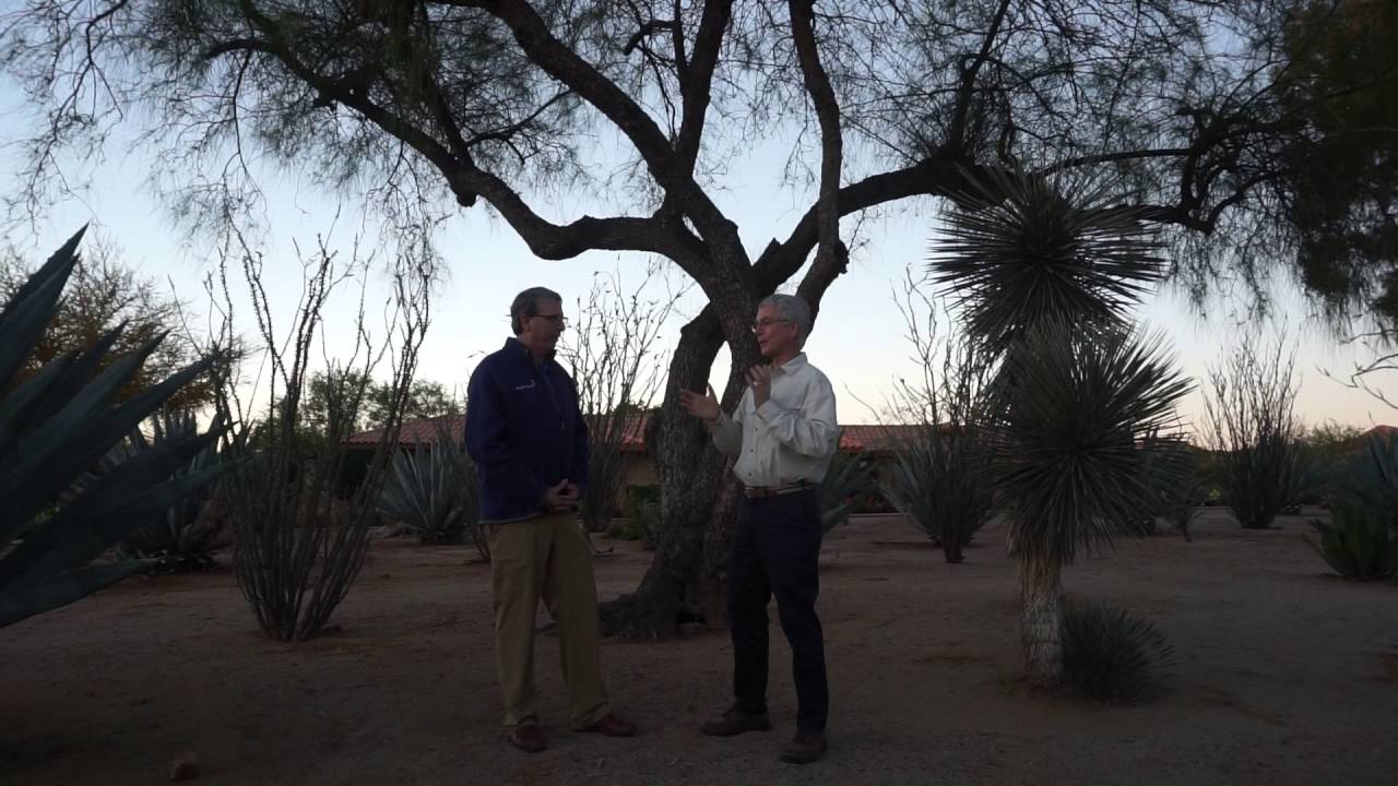 Proper Pre-Monsoon Pruning. Dr. Ed Gilman