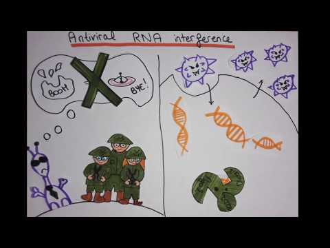 Fighting viruses with RNA interference