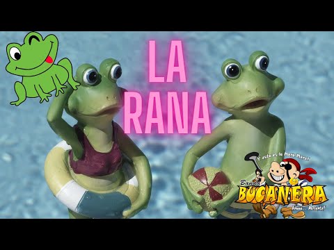 RANA LA RANA BANDA BUCANERA la mera mera