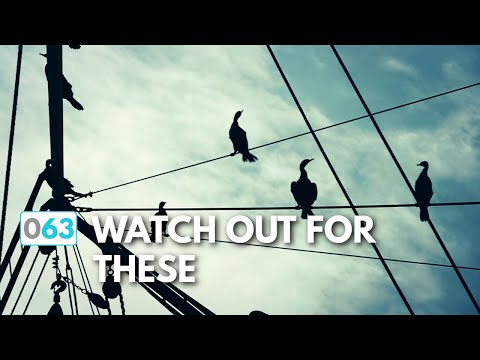 Sailing the Intracoastal Waterway, 5 Things To Watch For  |  ⛵ The Foster Journey