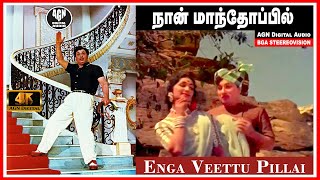 Download lagu நான் மாந்தோப்பில் நின்றிருந்தேன் - எங்க வீட்டுப் பிள்ளை - சனவரி 14, 1965 mp3 Download lagu நான் மாந்தோப்பில் நின்றிருந்தேன் - எங்க வீட்டுப் பிள்ளை - சனவரி 14, 1965 mp3