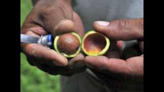 60 Seconds To Serve: Sustainable Bolivia