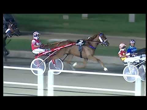 Napoli Trotto 25/06/2022 - 6ª corsa