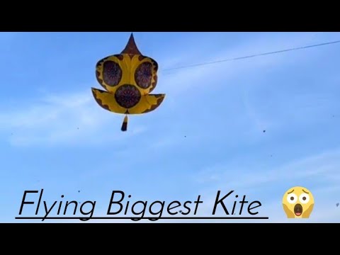 Rawalpindi Basant Festival 2023 |Flying Biggest Kite| Rana Usman