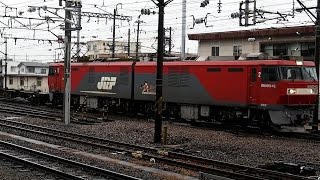 preview picture of video '2014/11/25 JR貨物 3054レ コンテナ EH500-42 黒磯駅 / JR Freight: Intermodal Containers at Kuroiso'