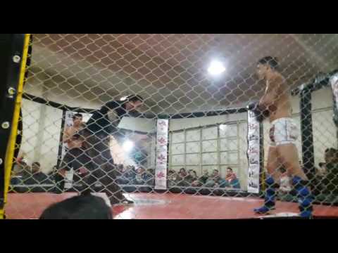 Martin marques mma